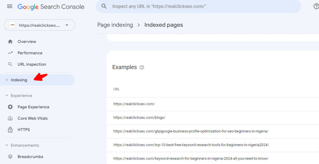 image-of-indexing-clicked-in-google-search-console